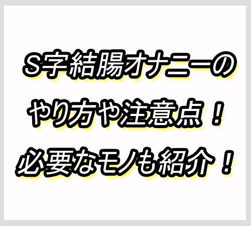 S字結腸オナニー