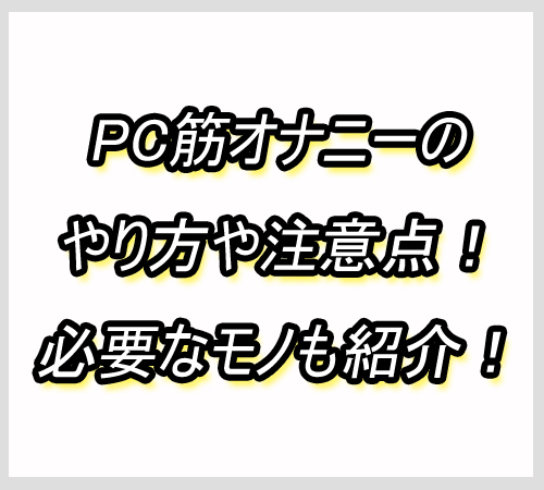 PC筋　オナニー