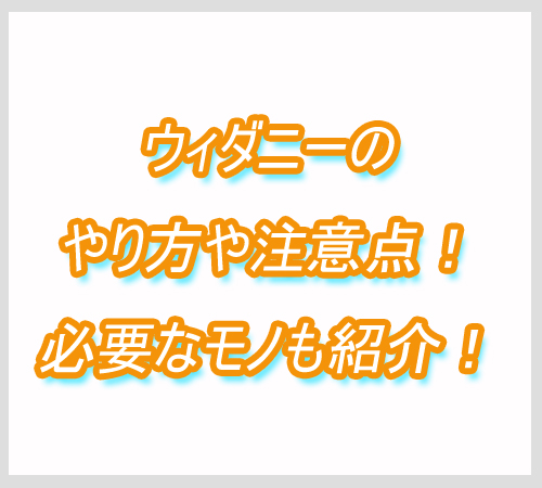 ウィダニー