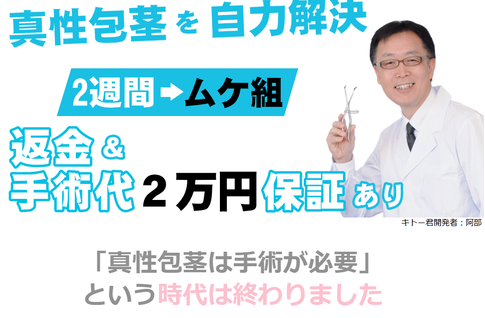 キトー君