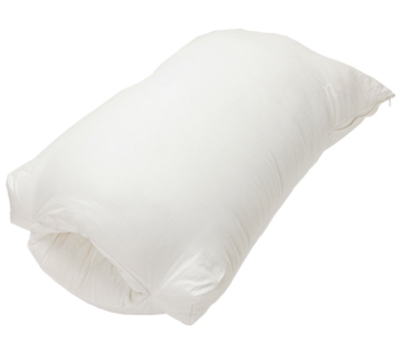 半熟サキュバス 2.5次元コネクトまくら ふかふか高反発・ポリ綿タイプ